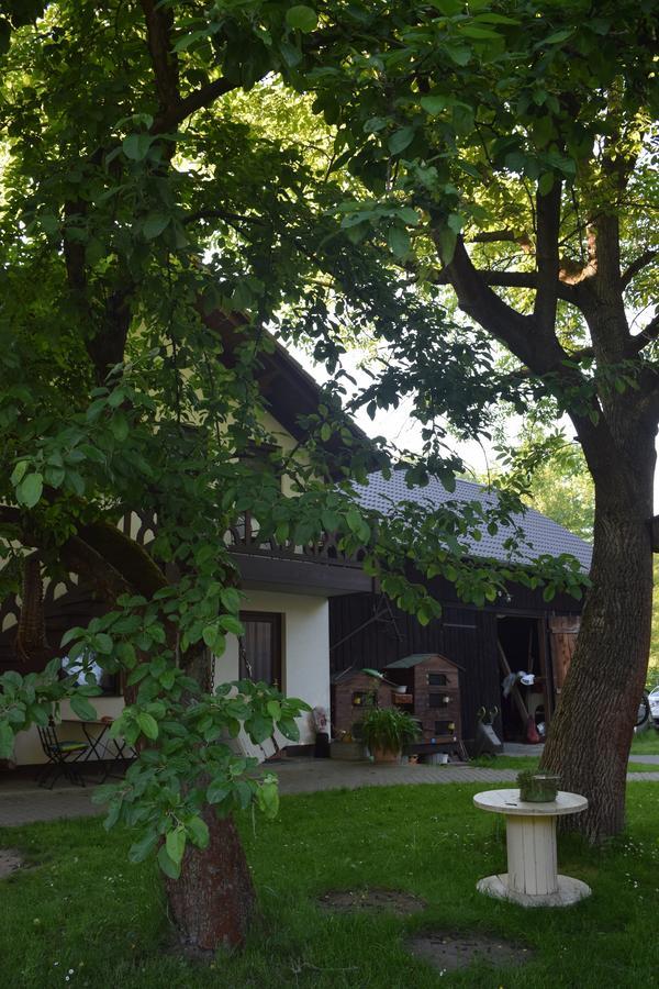 Gaestehaus Bohg Burg  Exterior photo